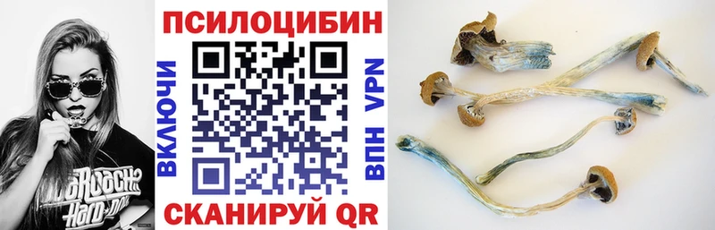 Галлюциногенные грибы прущие грибы  Козловка 